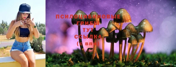 стаф Слюдянка