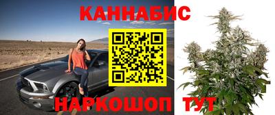 дмт Краснознаменск