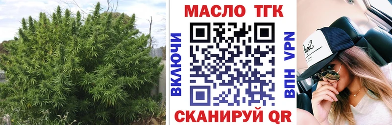 ОМГ ОМГ Ефремов ТГК концентрат купить