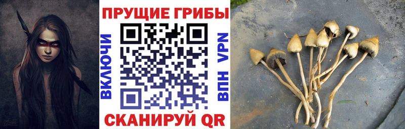 продажа наркотиков  Ефремов  Галлюциногенные грибы GOLDEN TEACHER 