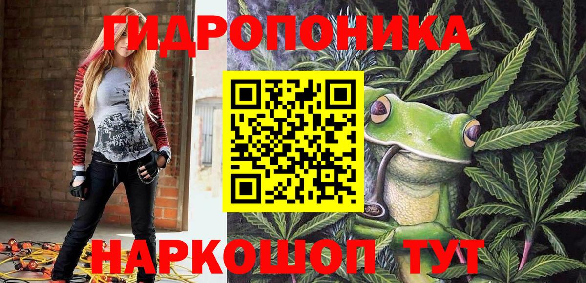 Бошки Шишки конопля Ефремов